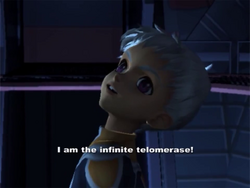 Telomerase