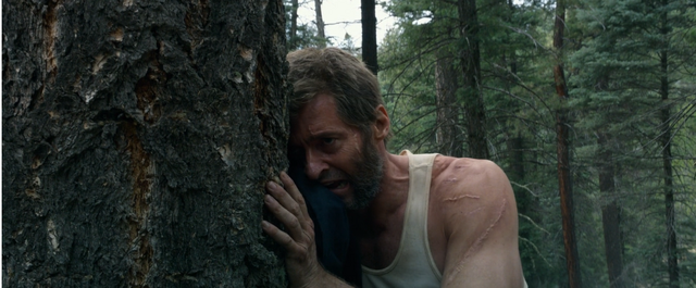 Archivo:Logan 024.png