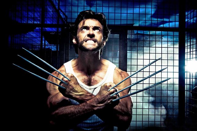 File:2009 x-men wolverine 005.jpg
