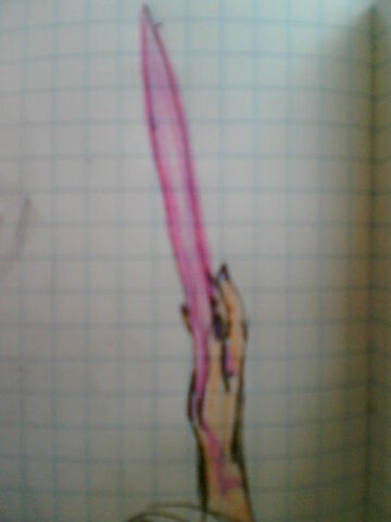 File:Image(138).jpg