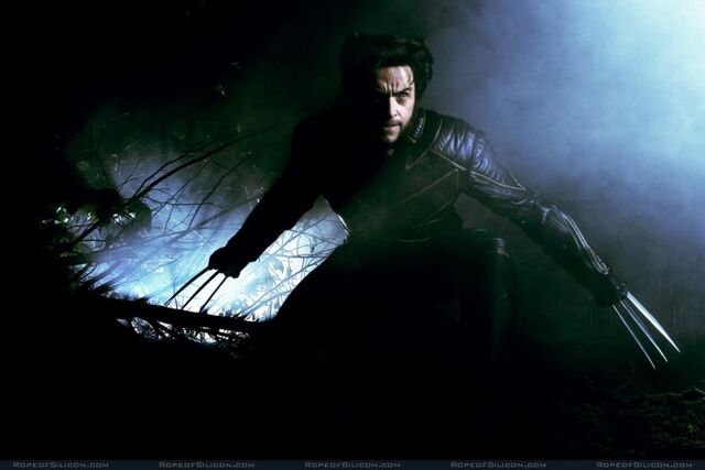 File:Wolverine 22.jpg