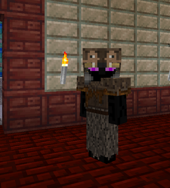 Bear Costume