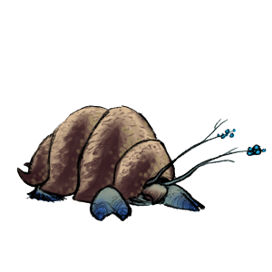 SPC ANIMAL002 300x300