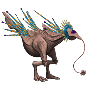 SPC ANIMAL001 300x300