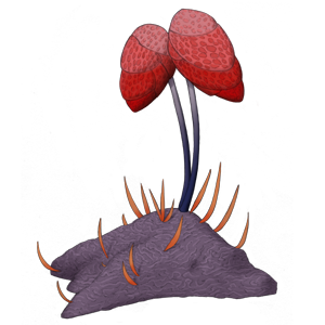 SPC PLANT005 300x300