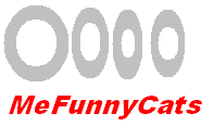 Fil:MeFunnyCats.PNG