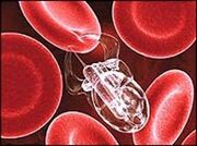 YMRP Nanomachines
