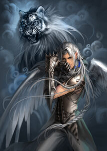 Light Combat form