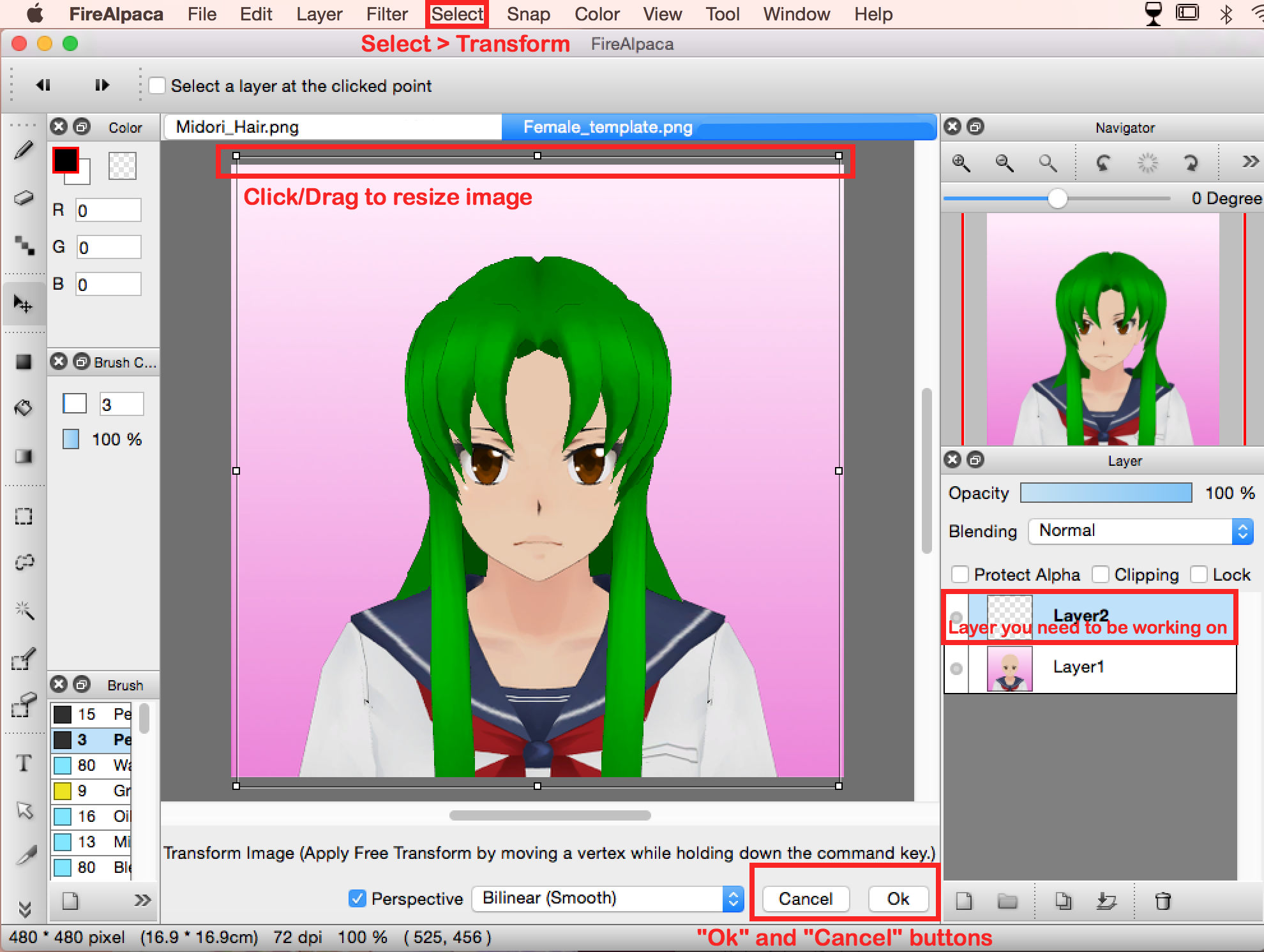 Firealpaca resize canvas - beachpag