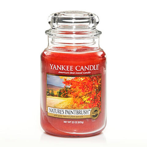 File:Natures-Paintbrush--lj--500.jpg