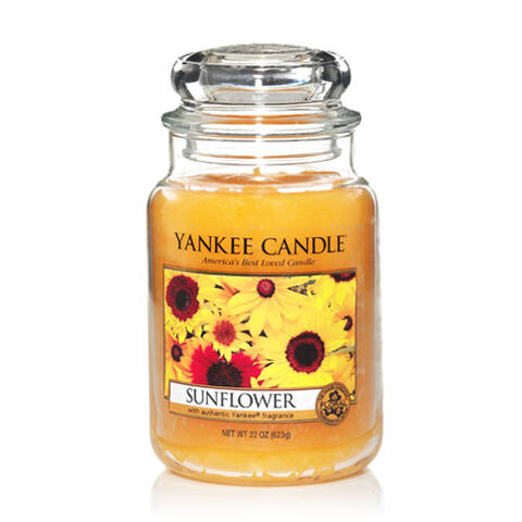 File:Sunflower 625.jpg