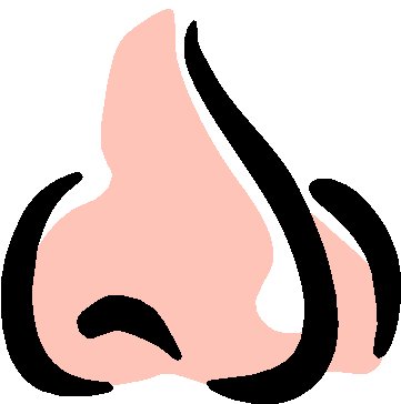 File:Nose-picture.jpg