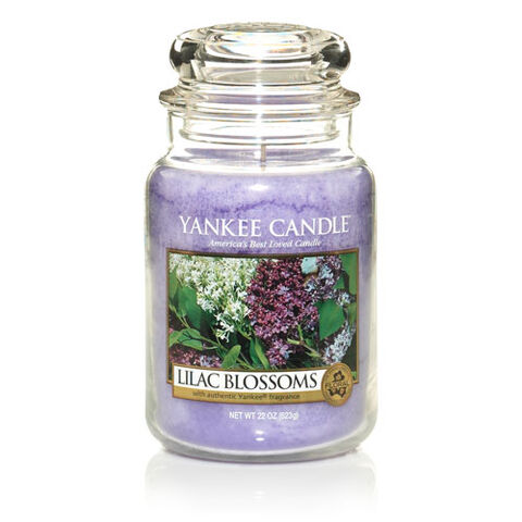 File:Lilac-blossoms-yankee-cangle.jpg