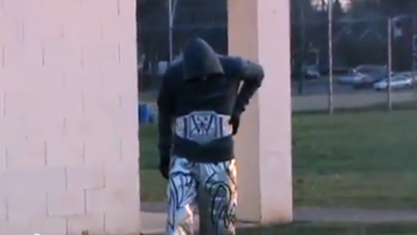File:Instinct2013.png