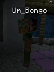 File:Bongo-1.png
