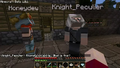 Thumbnail for version as of 02:29, November 13, 2011