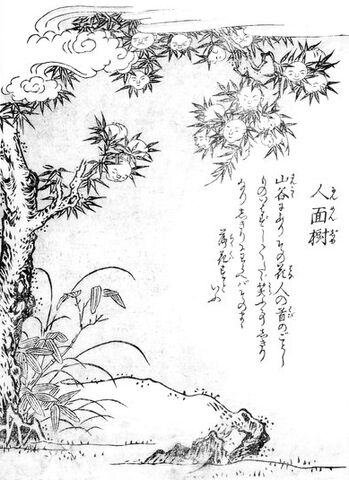 File:SekienNinmenju.jpg