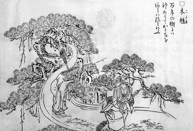 File:Kodama-sekien.jpg