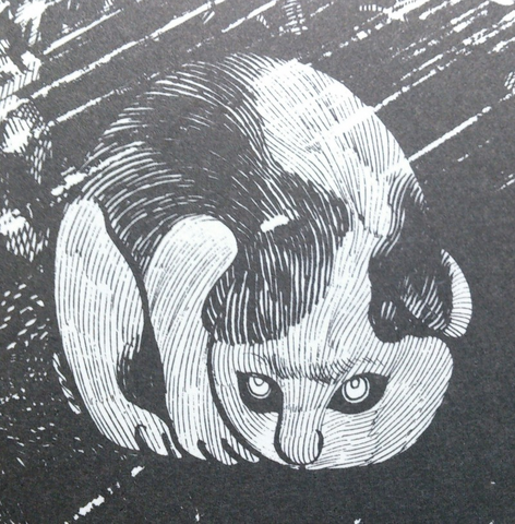 File:Sunekosuri.png