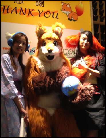 檔案:Firefox 01.jpg