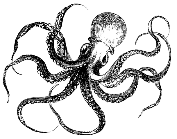 File:Weseultesymbol.png