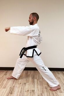 Taekwon-do-middle-punch-9