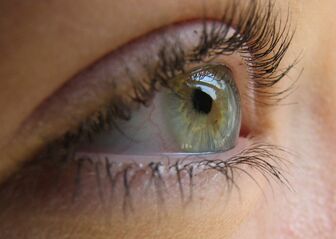 Viewing