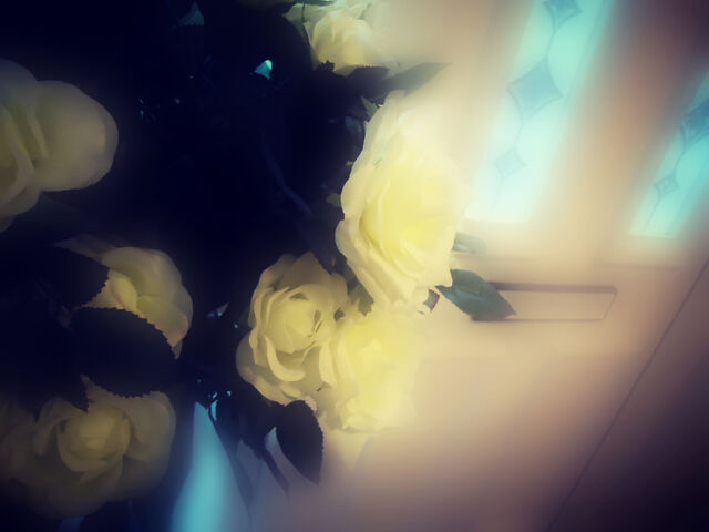 File:Flowers.jpg
