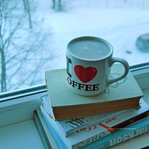 File:Tumblr lkdikl3WwS1qitrd2o1 500 large.jpg