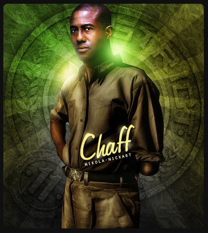 File:Chaffd11.png