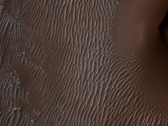 File:5.png