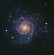 M74 dl 900