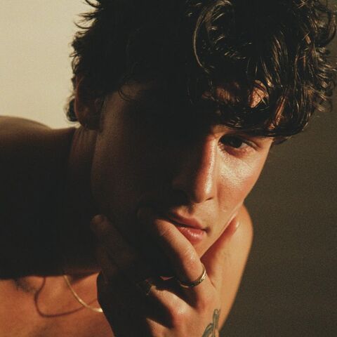 File:ShawnMendesVEVO.jpg