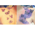 Butterflies