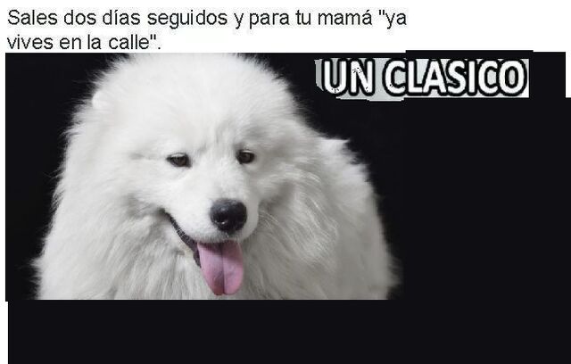 Archivo:Fdsfsdf.jpg