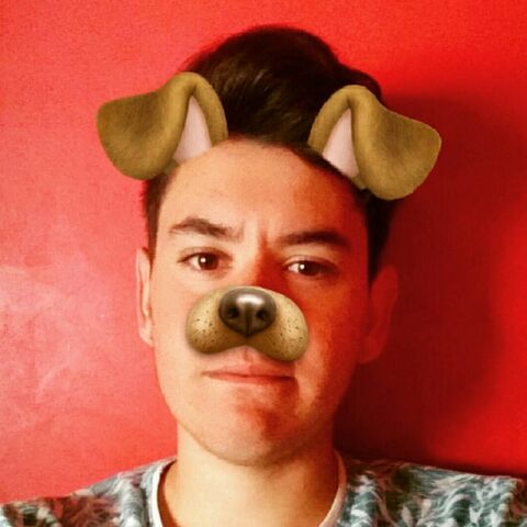 Archivo:TheMomo.jpg