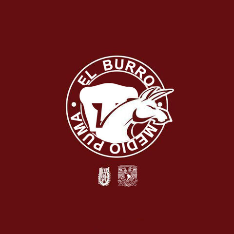 Archivo:Burro-0.jpg