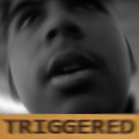 Archivo:Rodik TRIGGERED!.png