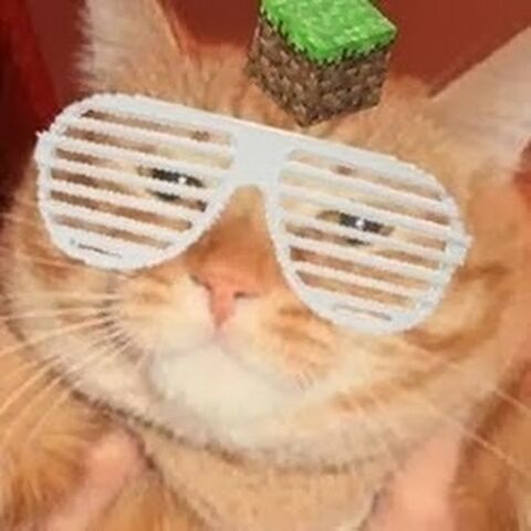 Archivo:Elrubiusimg.jpg
