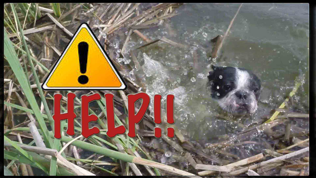 Archivo:Help.png