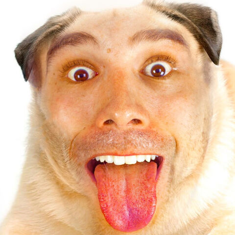 Archivo:Gabriel.jpg