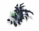 Magical herb