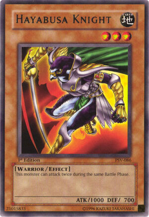 Hayabusa Knight.jpg