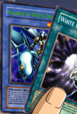 File:PaladinofWhiteDragon-EN-Anime-MOV.png