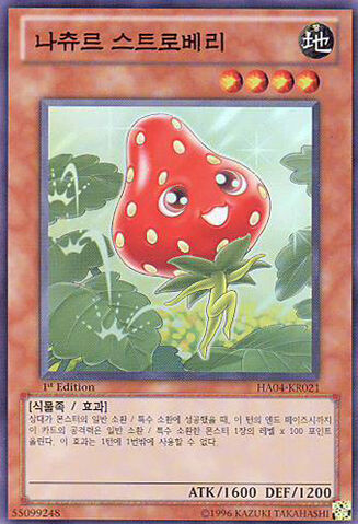 File:NaturiaStrawberry-HA04-KR-SR-1E.jpg