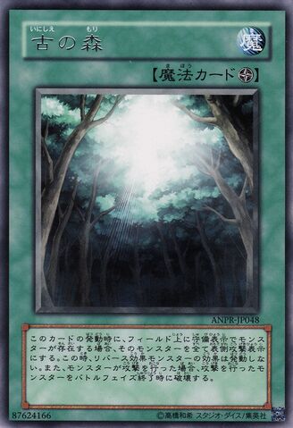 File:AncientForest-ANPR-JP-R.jpg