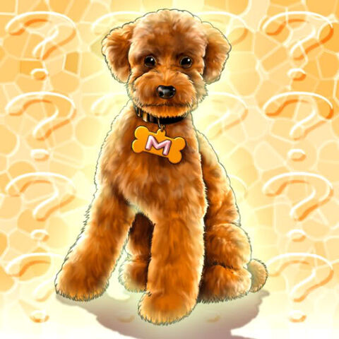 File:OutstandingDogMarron-TF04-JP-VG.jpg
