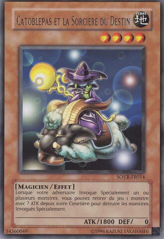 File:CatoblepasandtheWitchofFate-SOVR-FR-R-UE.jpg