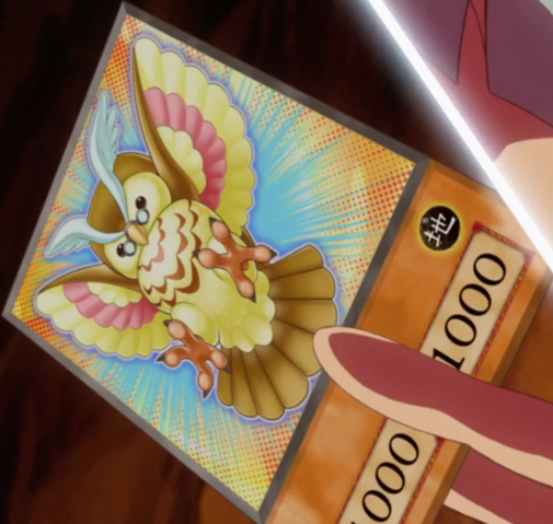 File:FluffalOwl-EN-Anime-AV.png