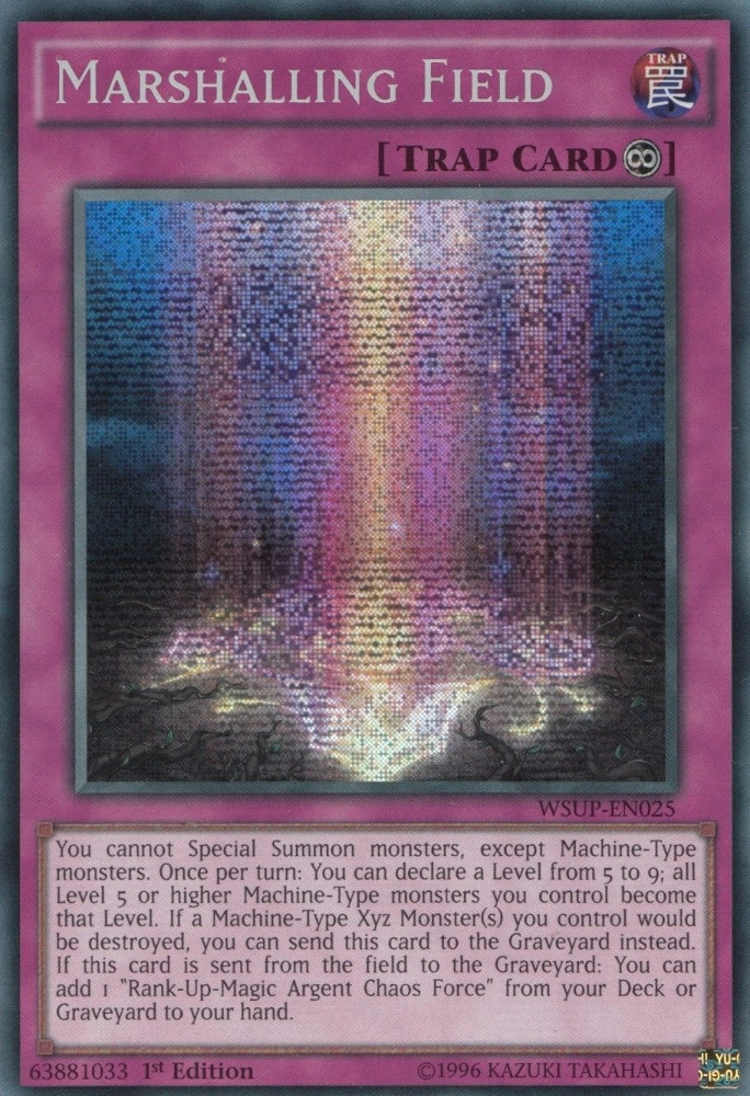MarshallingField-WSUP-EN-PScR-1E.png